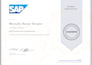 provide sap erp consulting and production process mapping